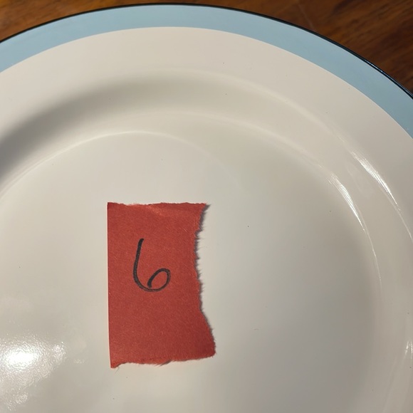 NWOT Set of 6 Hearth & Hand Magnolia Enamel Dinner Plates Farmhouse - Picture 10 of 13